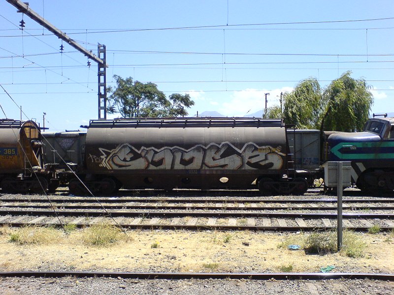 Chilean Grain