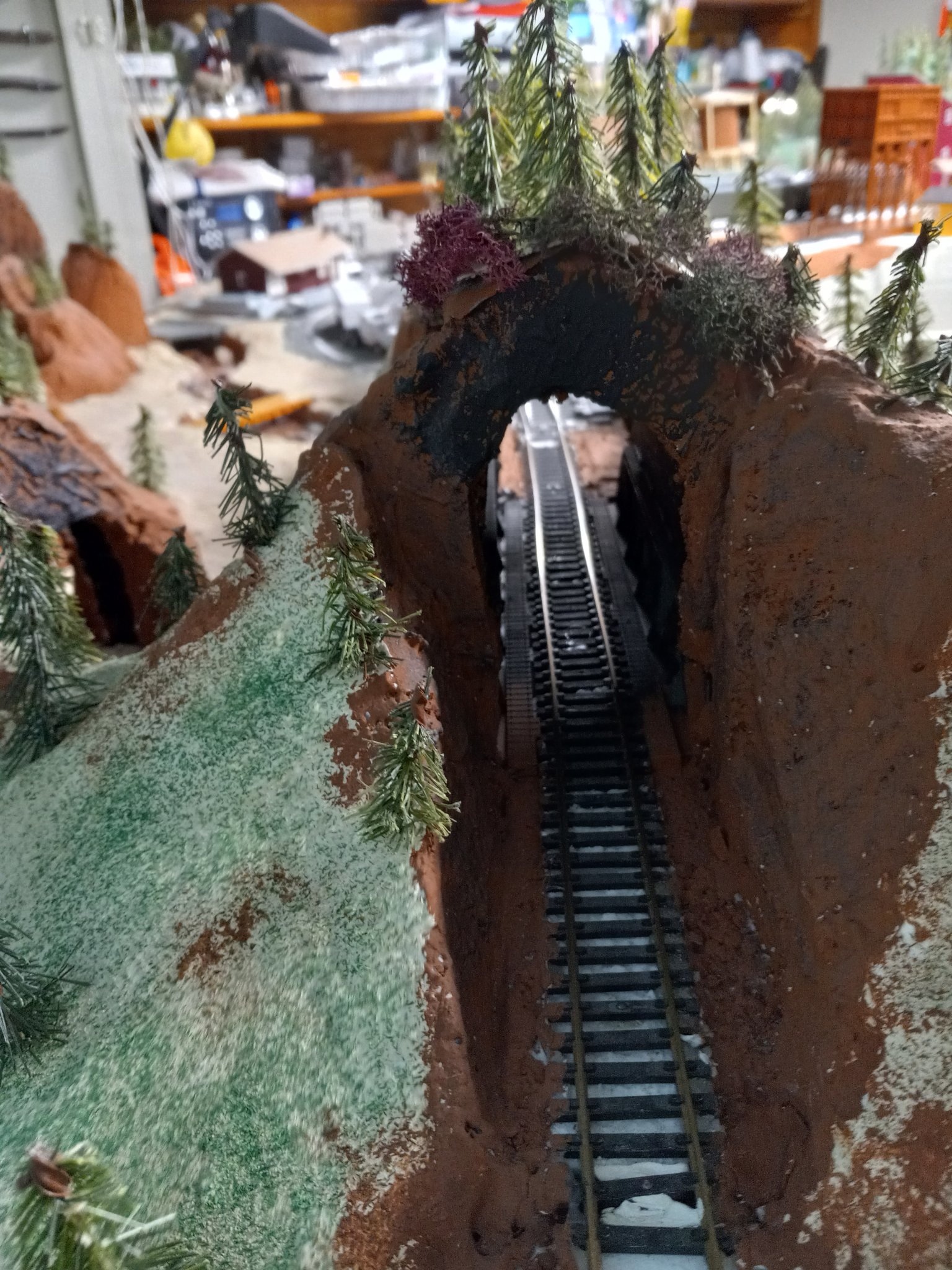 CM MT & SL layout build (185).jpg