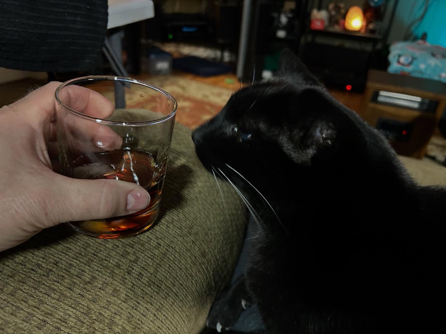 Cocktails.jpg