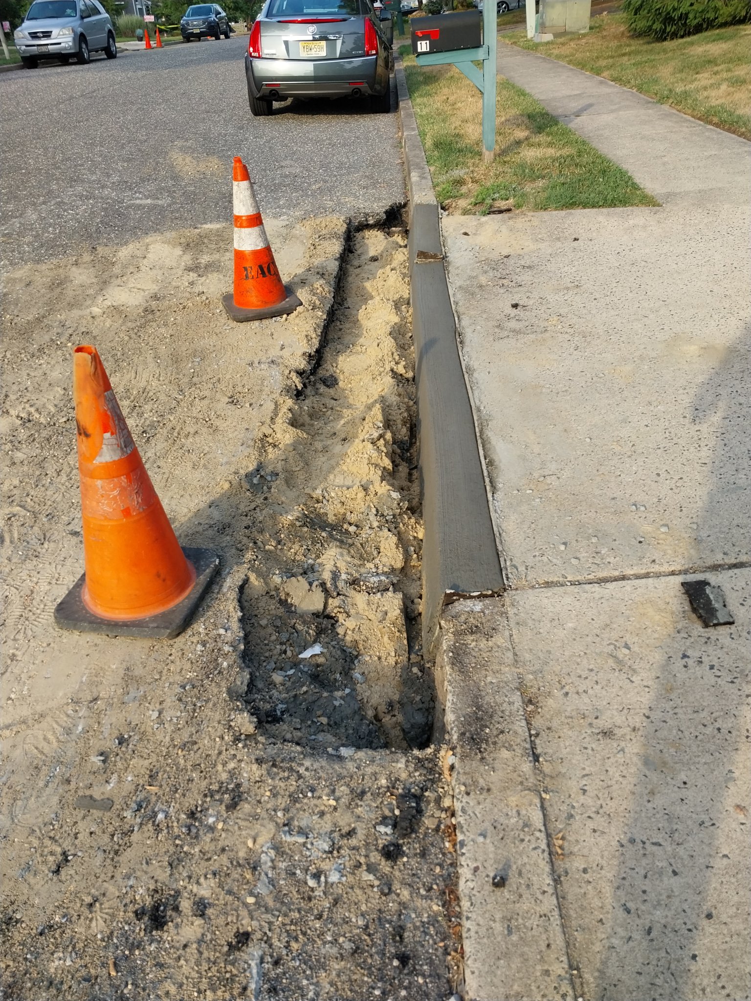 Curbing 07_08_2024.jpg