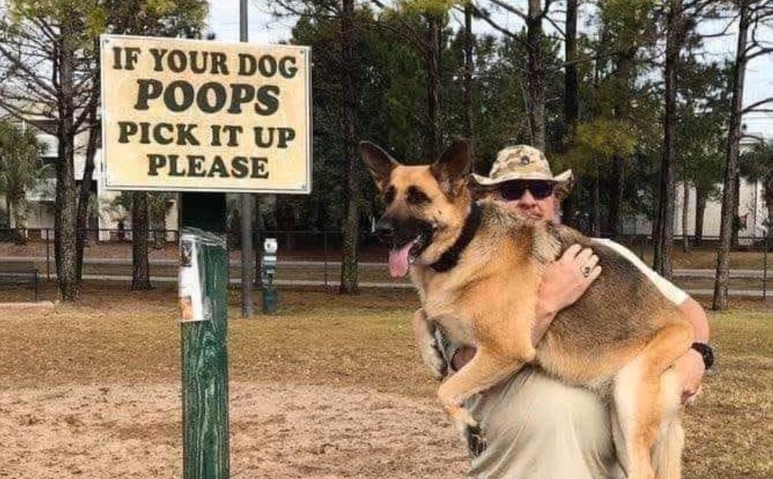 dog-poo.jpg