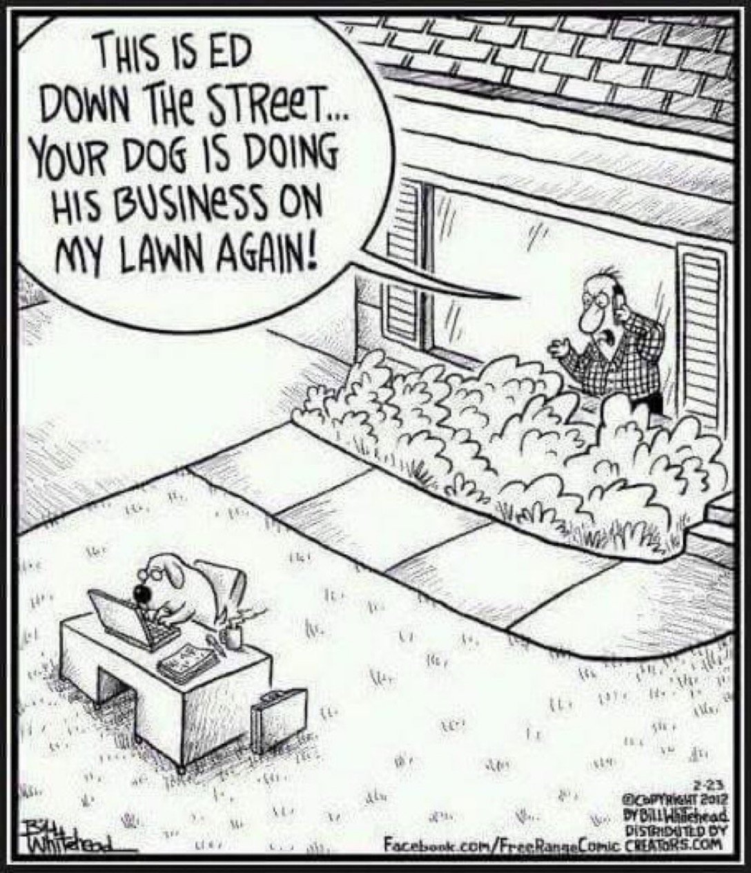 DogBusiness.jpg