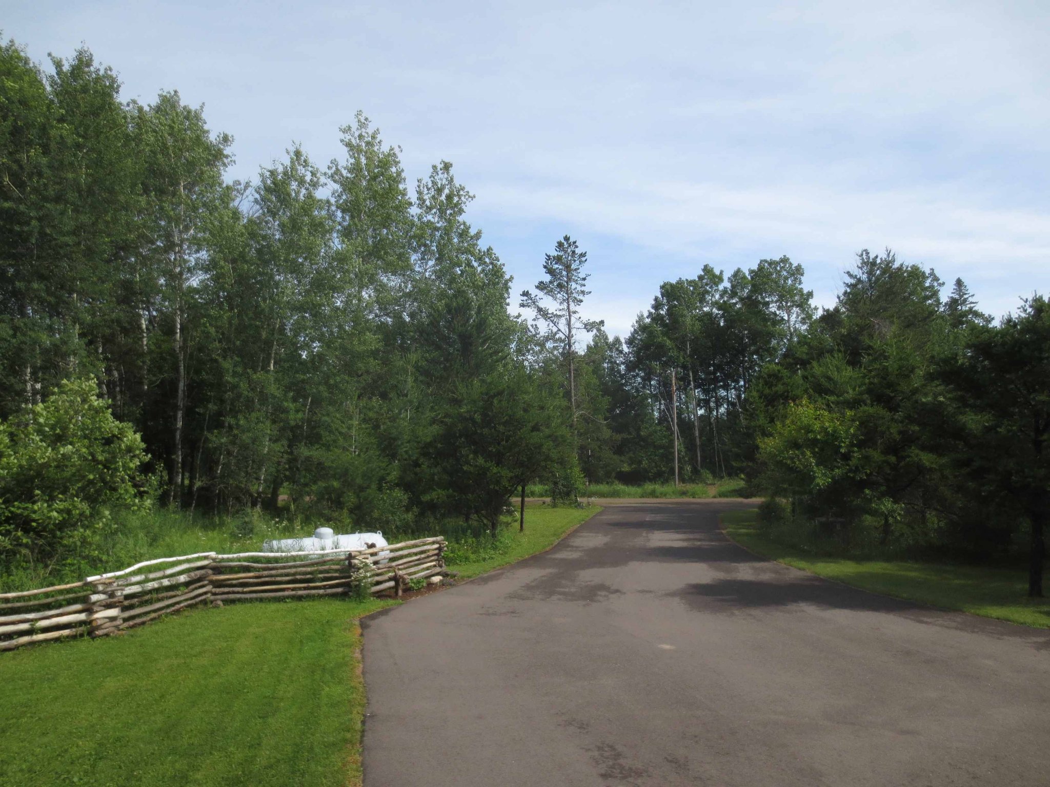 driveway.JPG