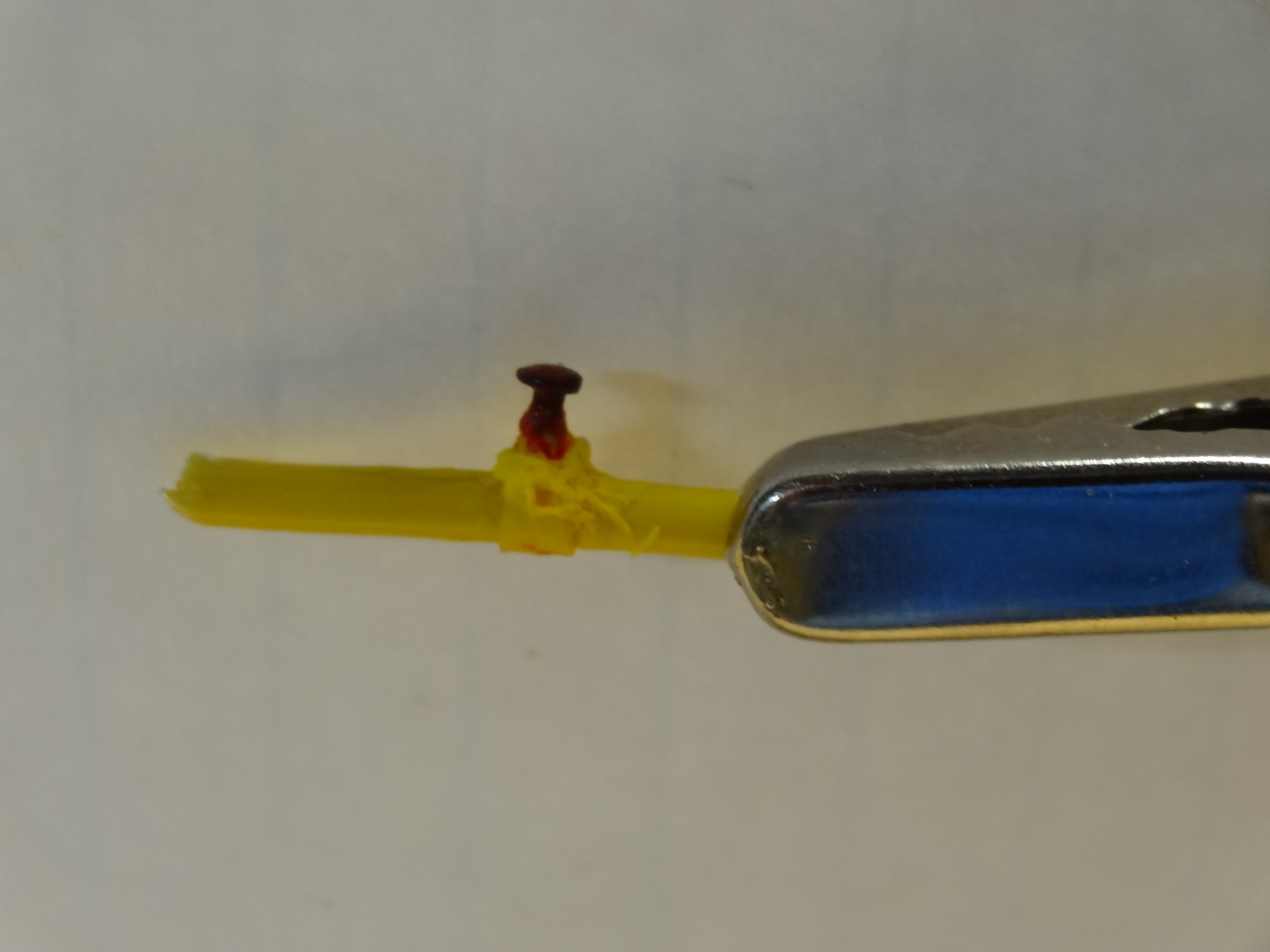 DSC00505.JPG