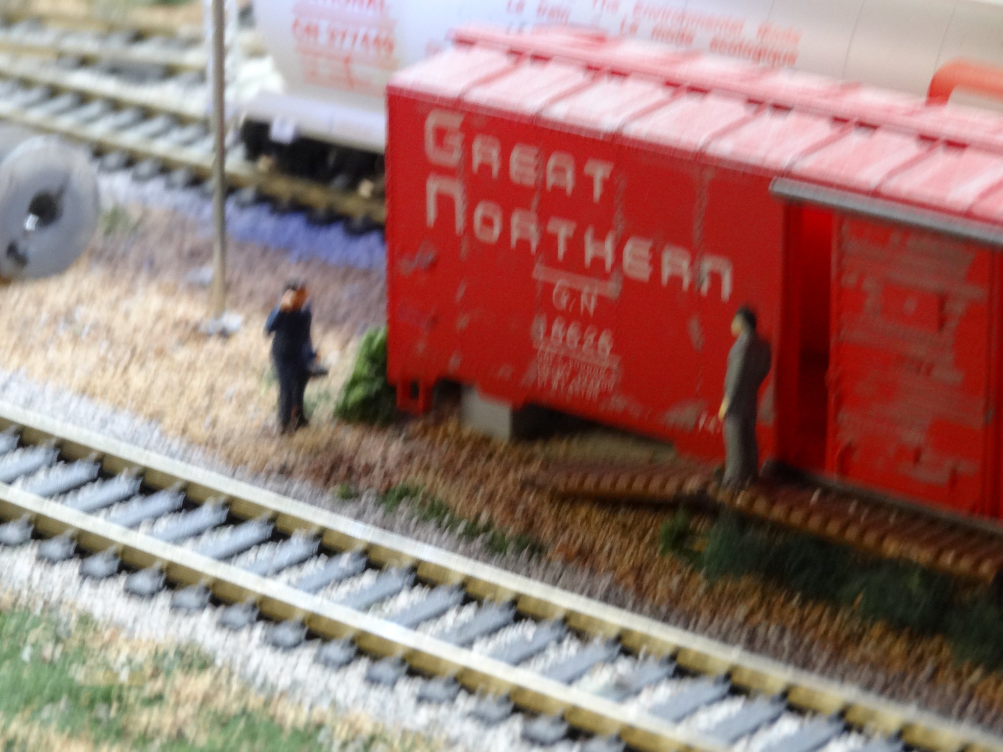 DSC00719.JPG