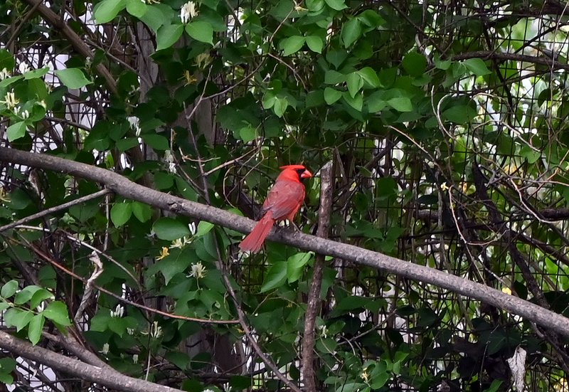 DSC_0857.JPG
