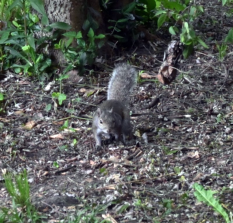 DSC_0858.JPG