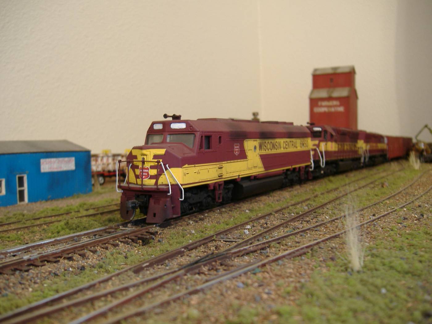 DSCF0237