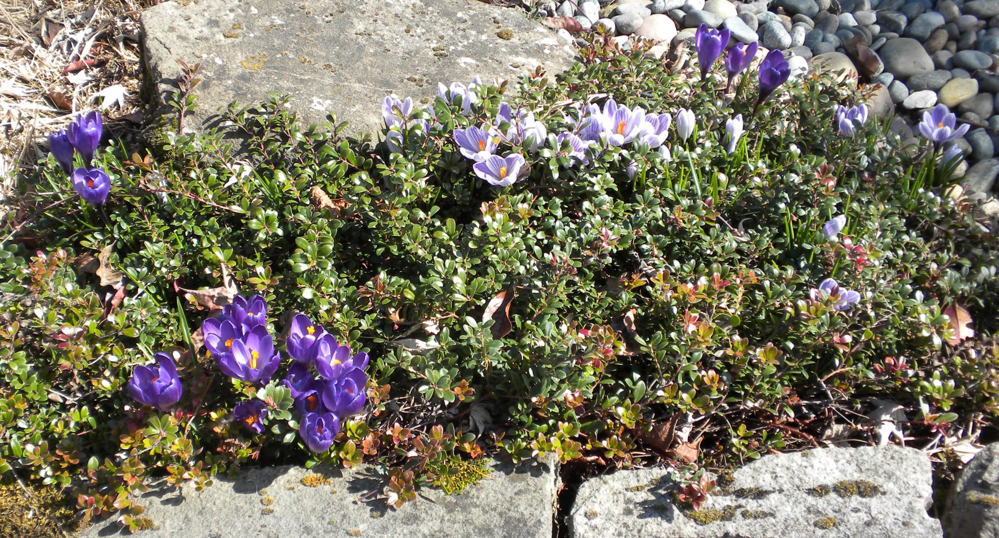DSCN2674.JPG