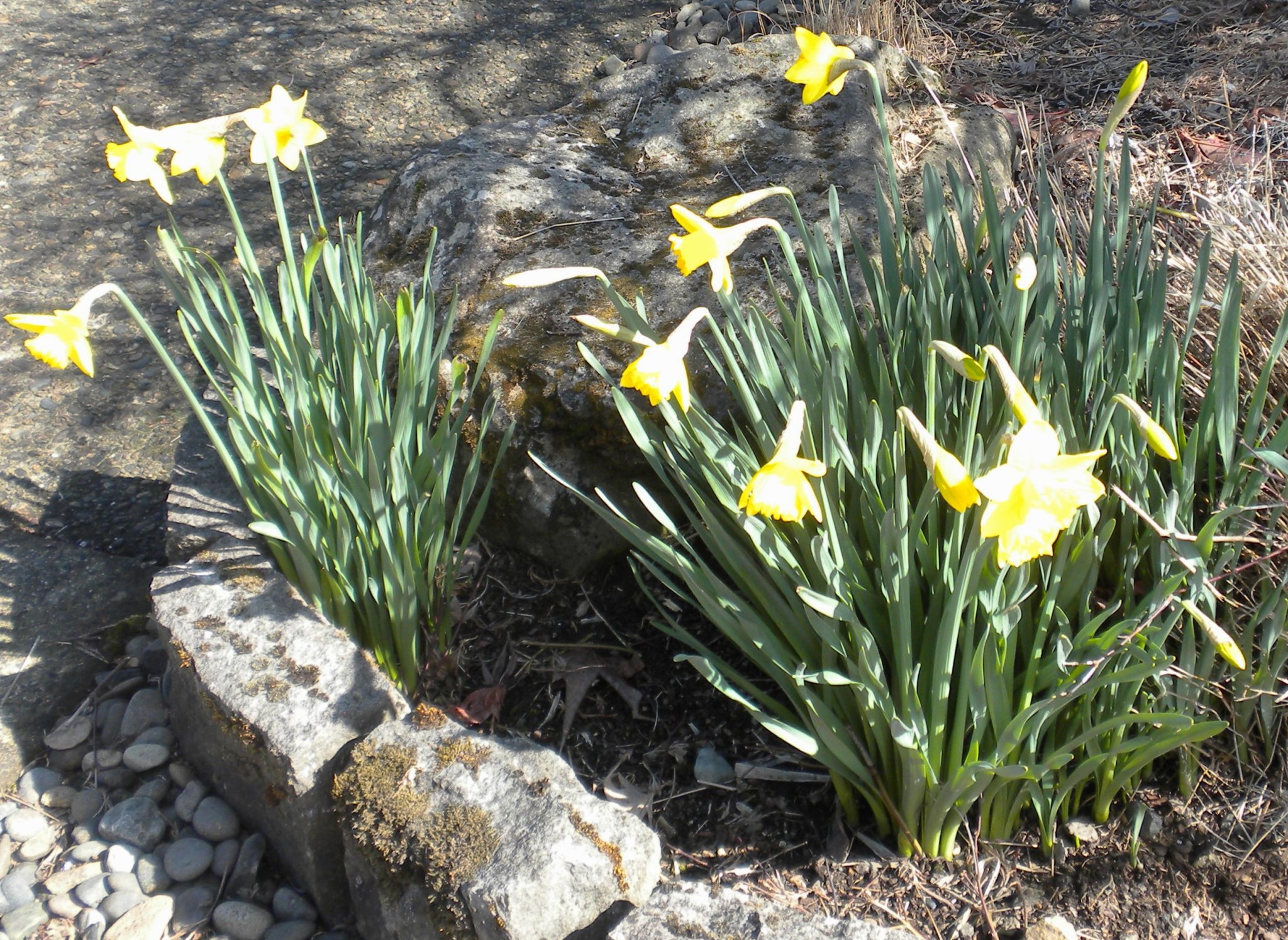 DSCN2675.JPG