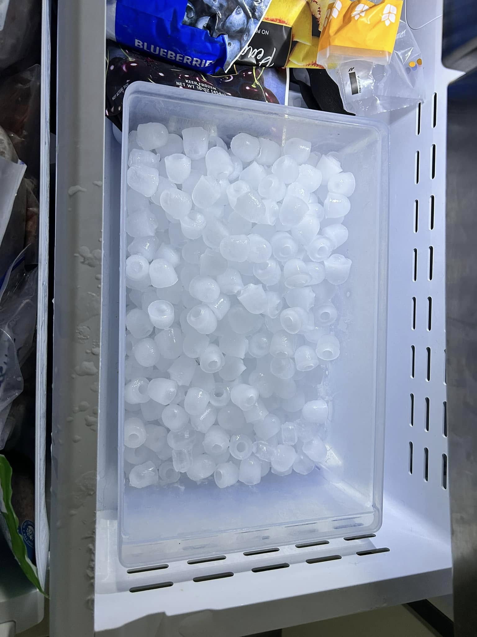 Fridge 2.jpg