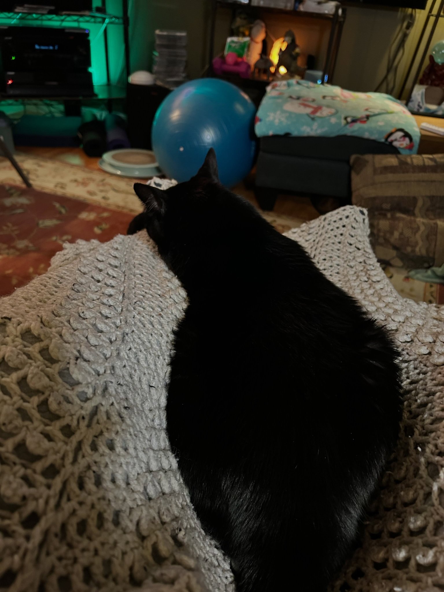 fuzzbut.jpg