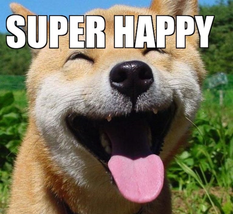 HAPPY 01.jpg