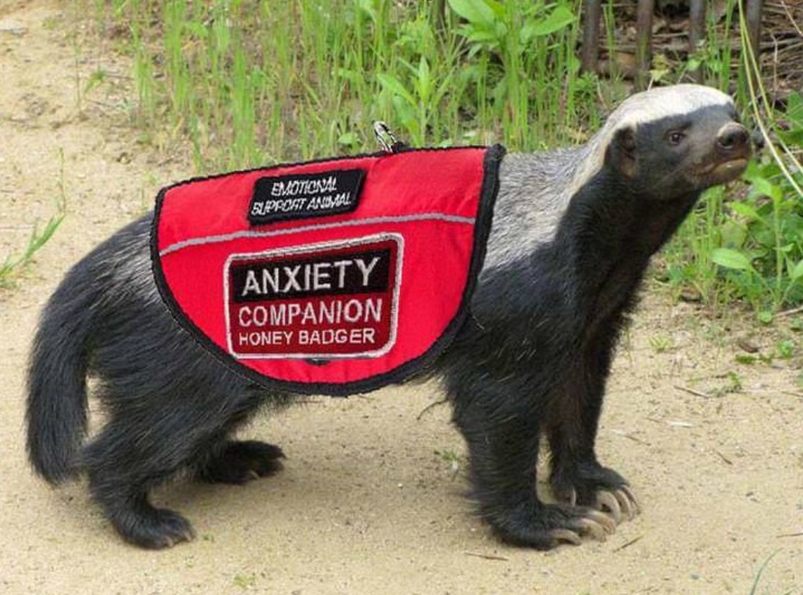 HONEYBADGER.jpg