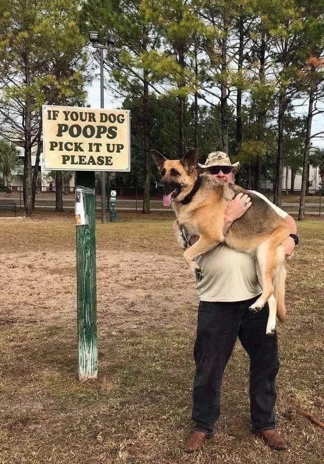 if-your-dog-poops-.jpg