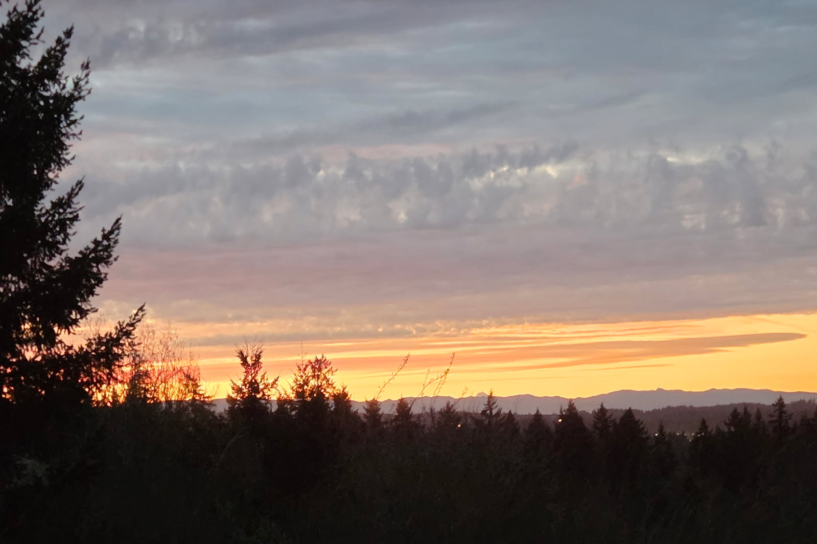 image000000.jpg