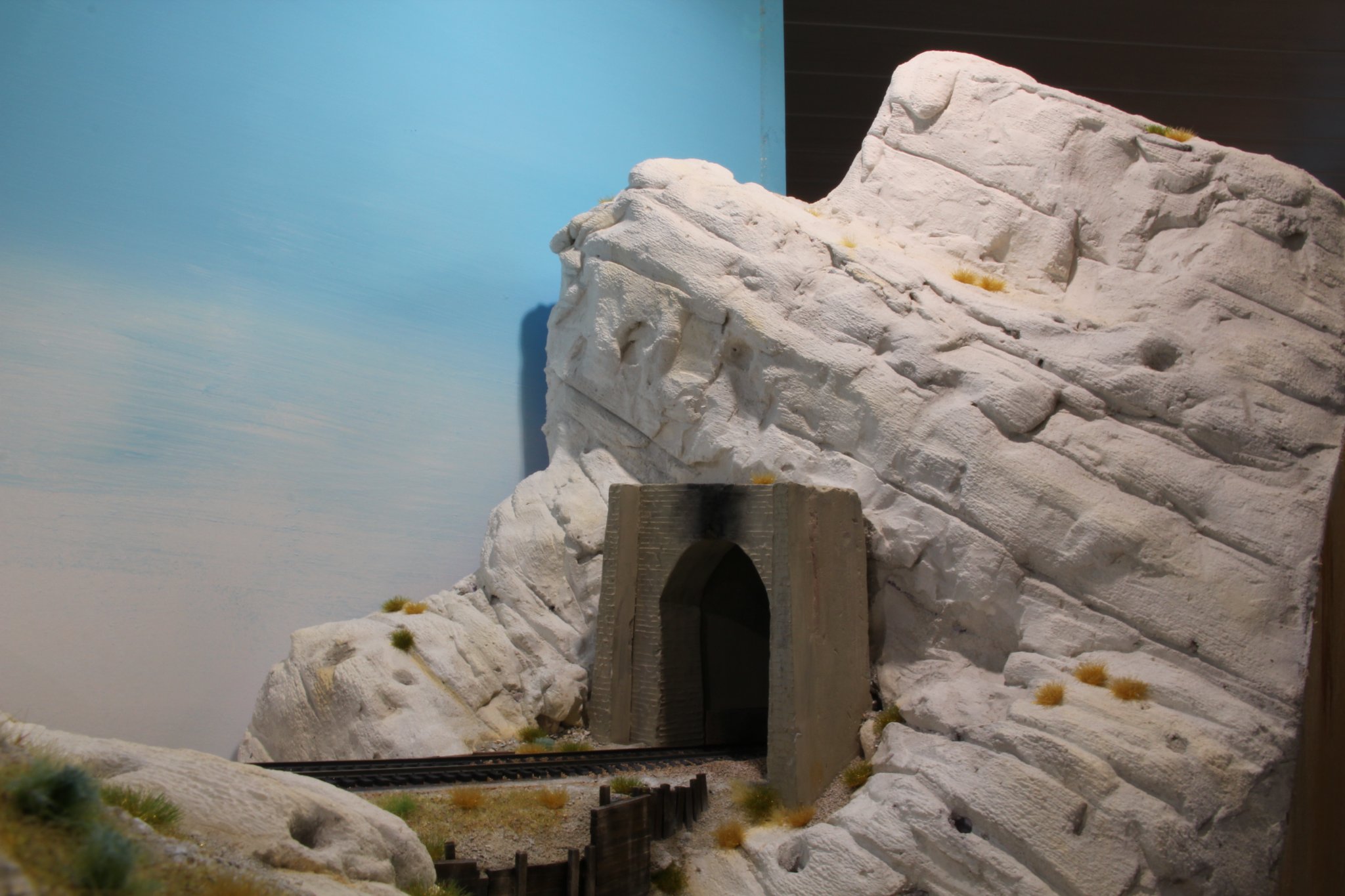 IMG (459).JPG