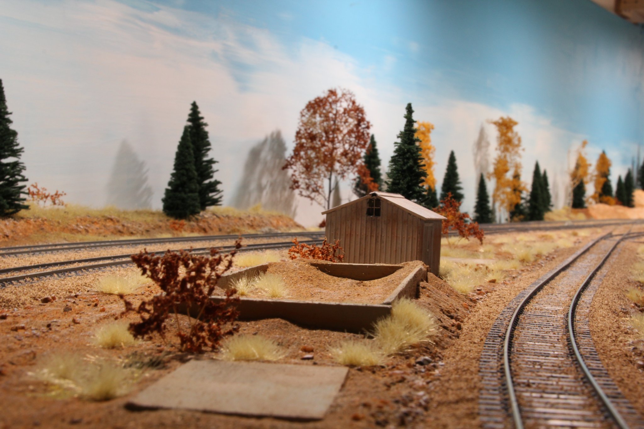 IMG_(1032).JPG
