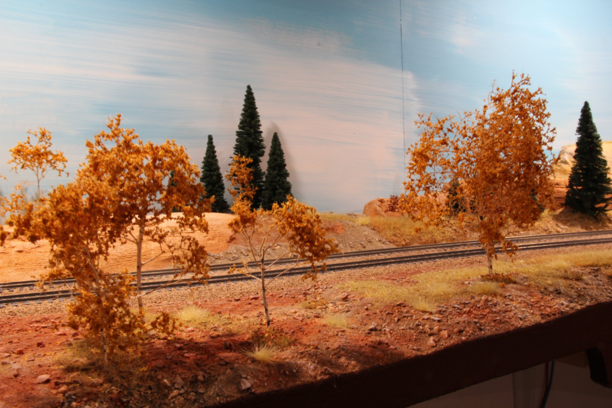 IMG_(1038).JPG