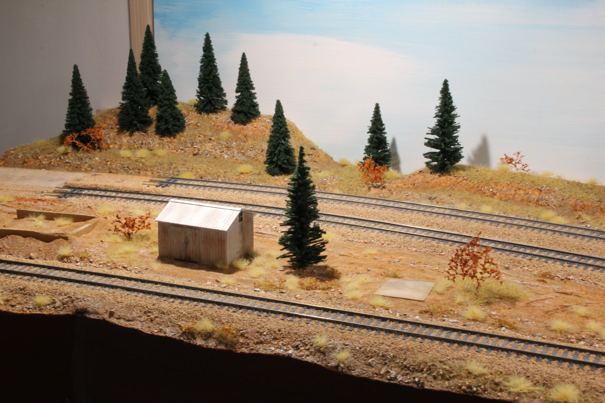 IMG_(1039).JPG