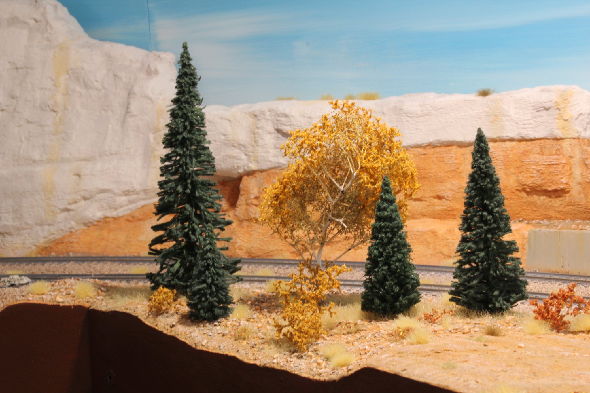 IMG_(1203).JPG