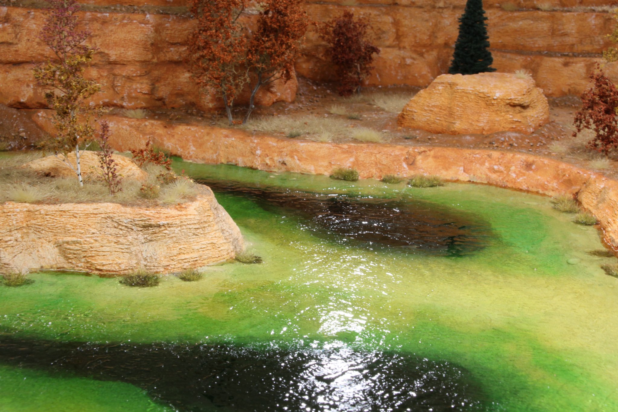 IMG_(1270).JPG
