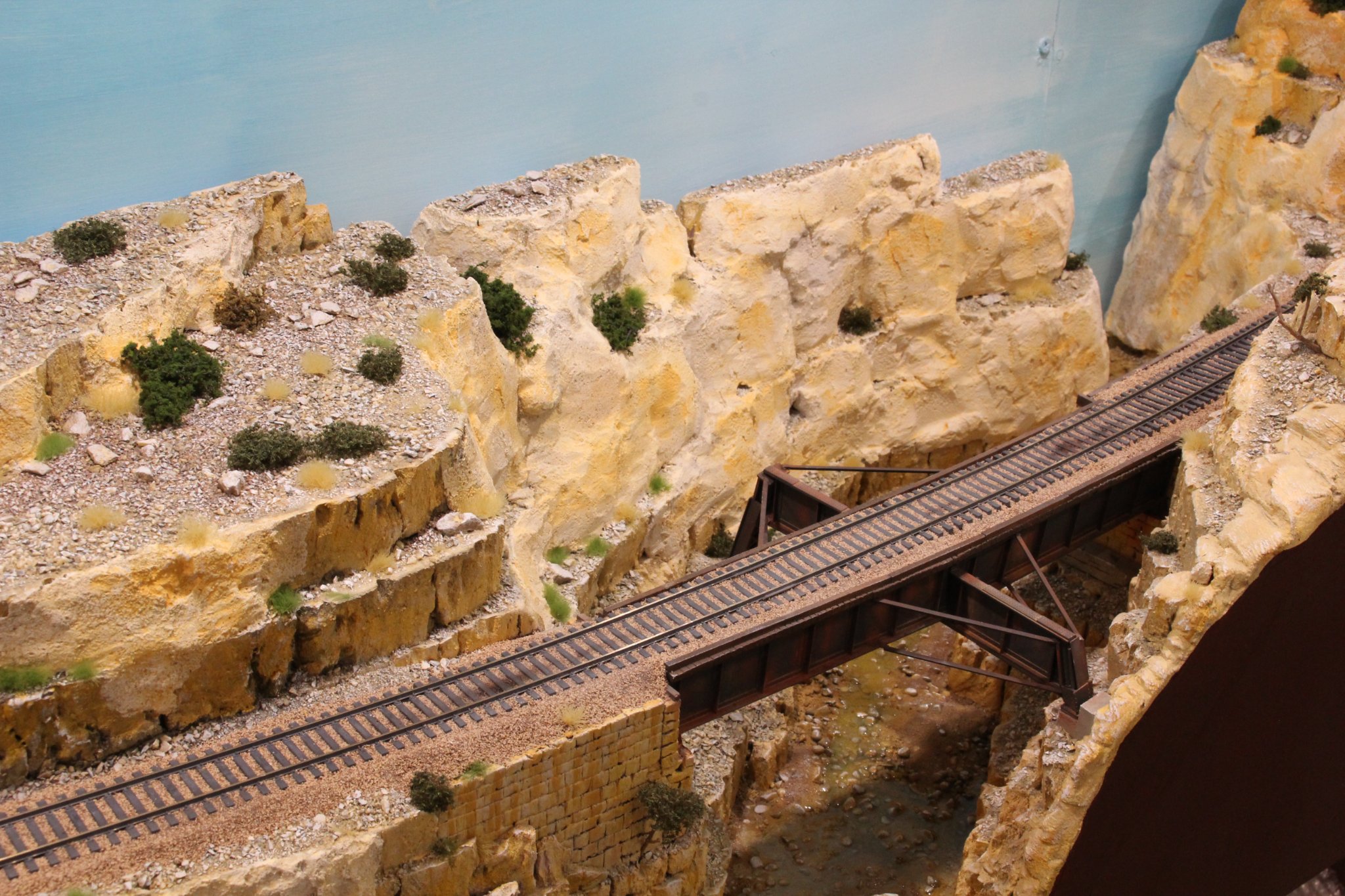 IMG_(1566).JPG