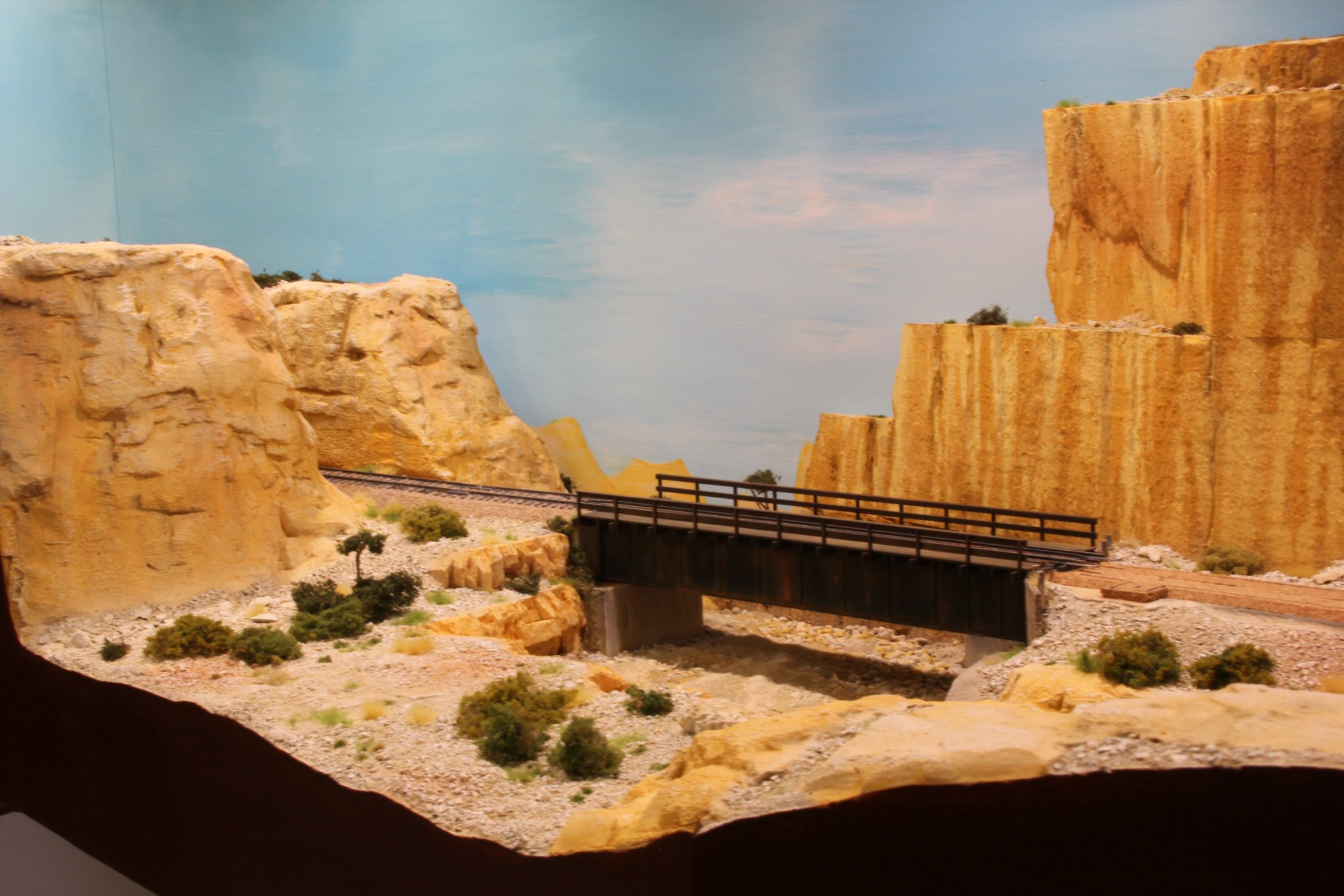 IMG_(729).JPG