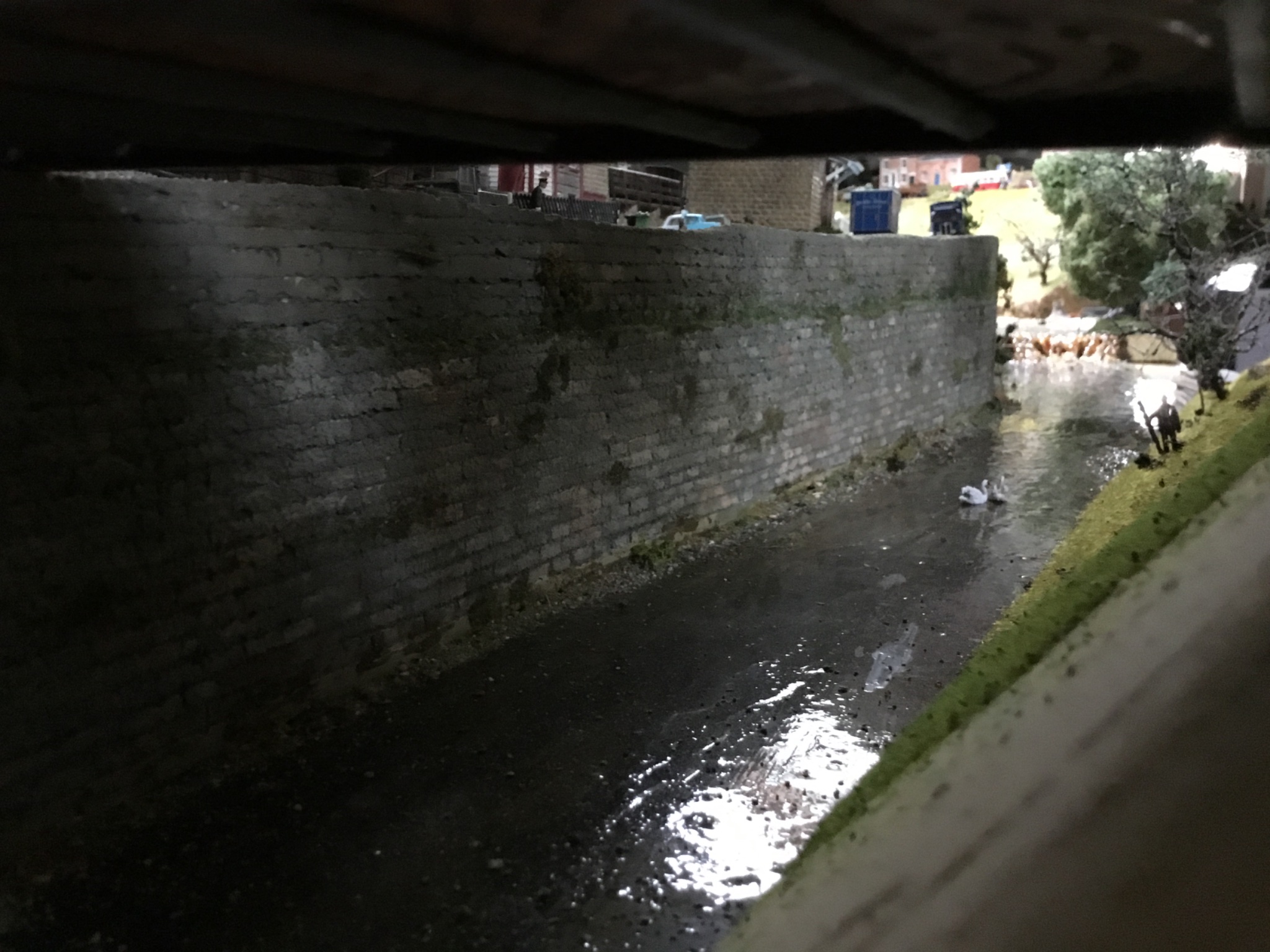 IMG_0003.jpeg