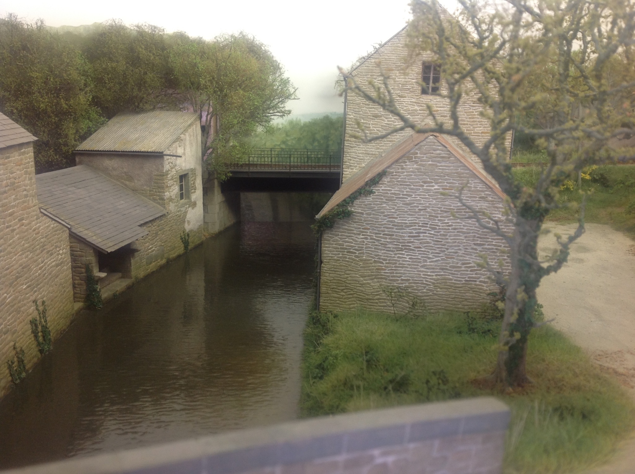 IMG_0103.jpeg