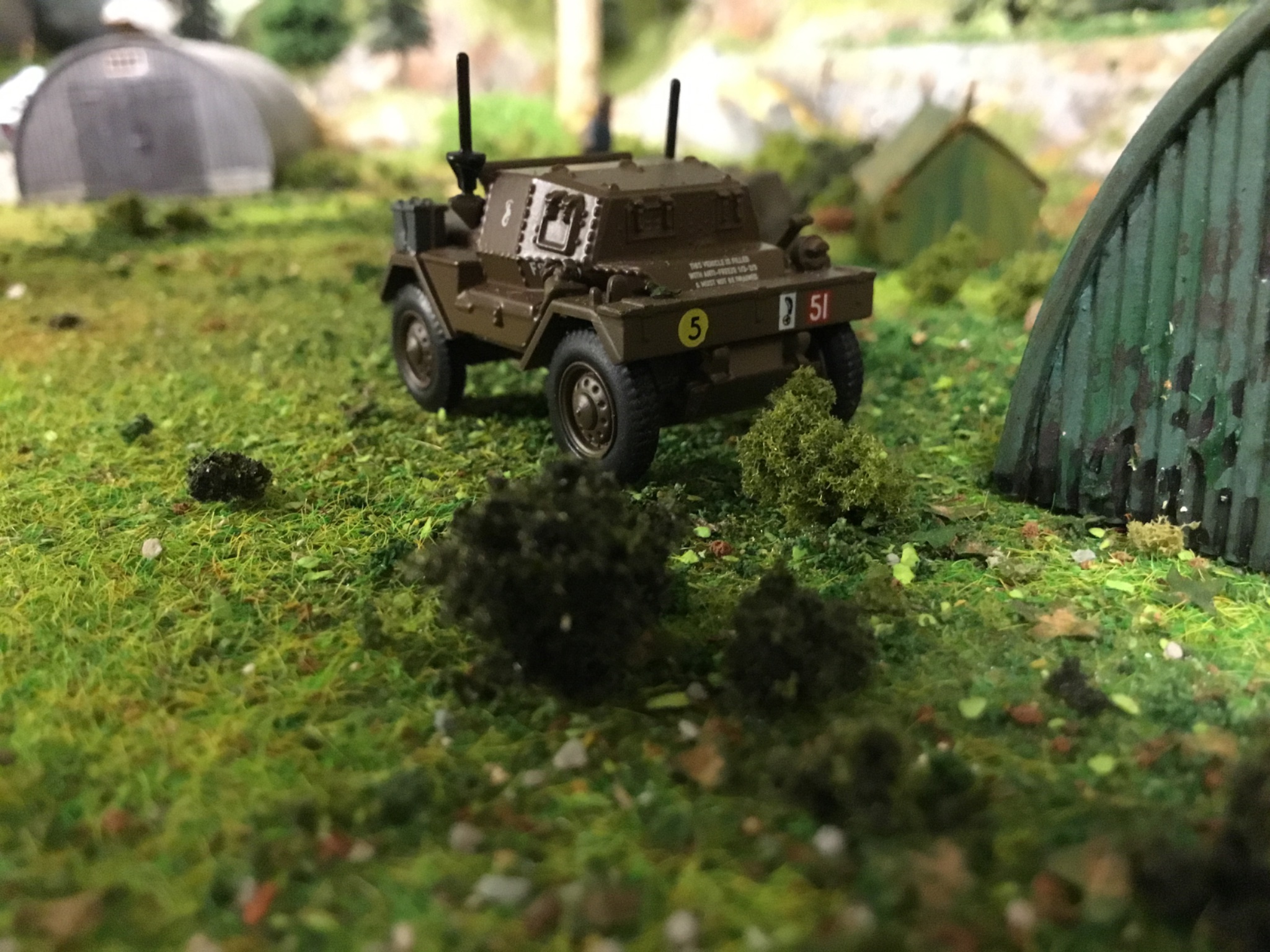 IMG_0263.jpeg