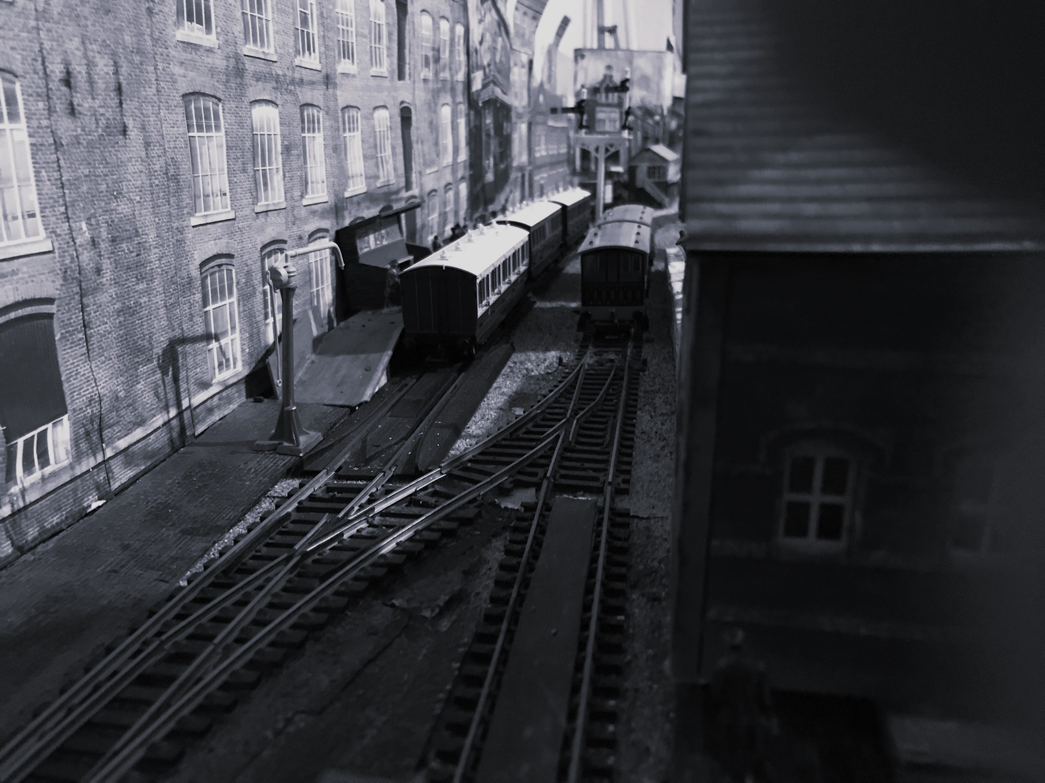 IMG_0311.JPEG