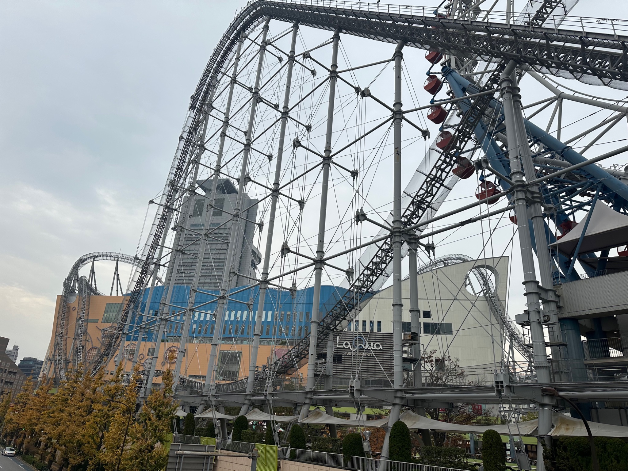 IMG_0468.jpeg