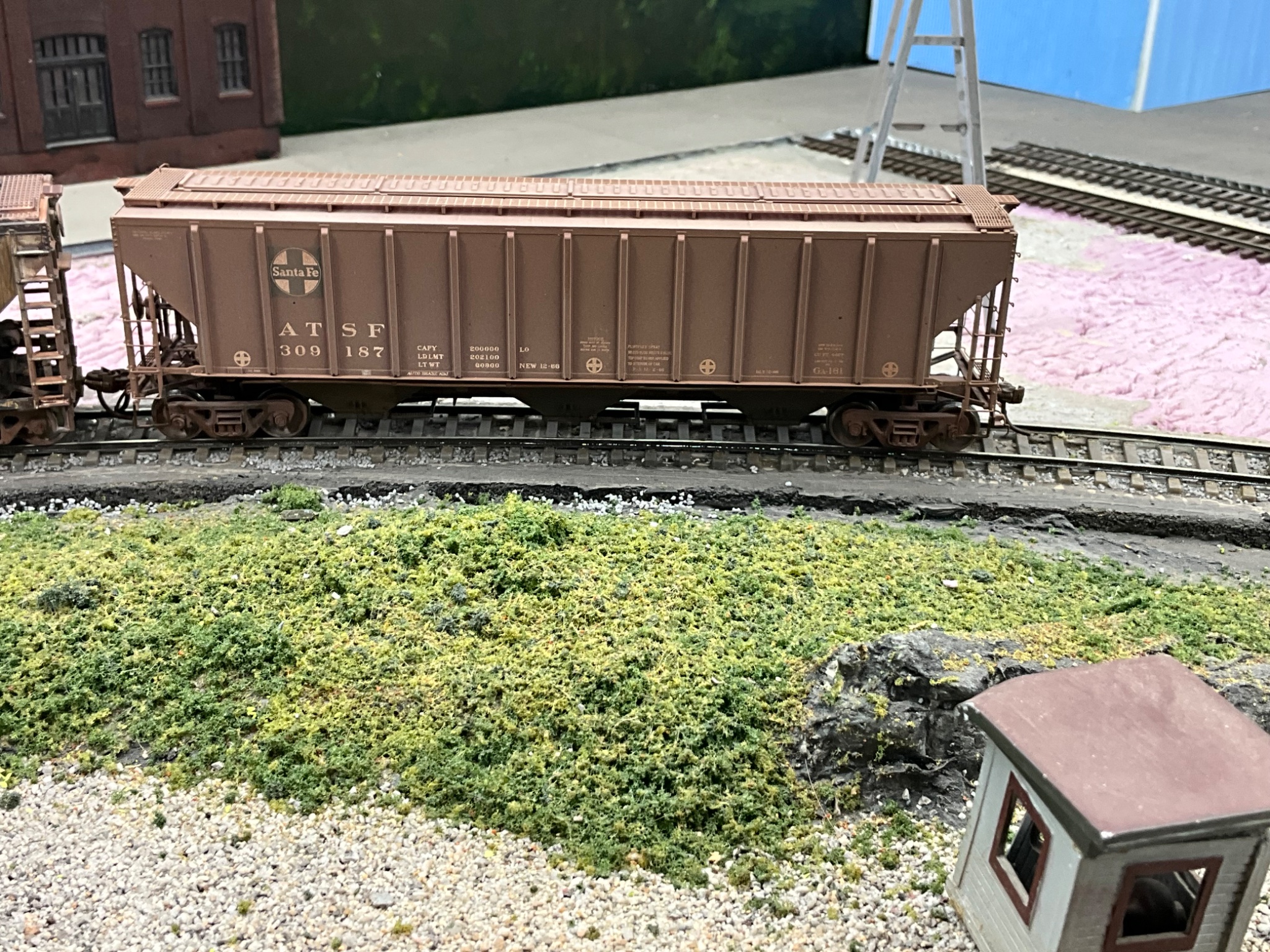 IMG_0594.jpeg