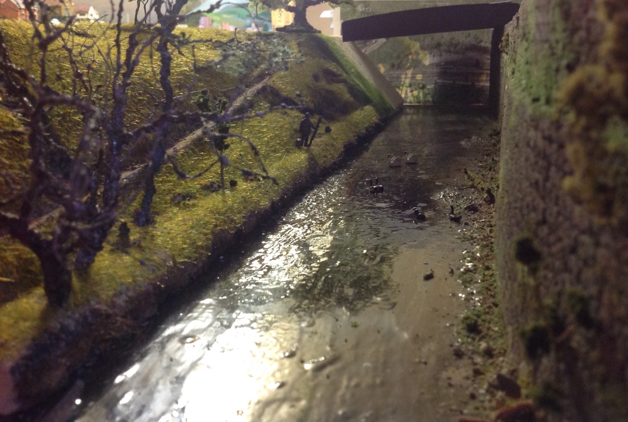 IMG_1040.jpeg