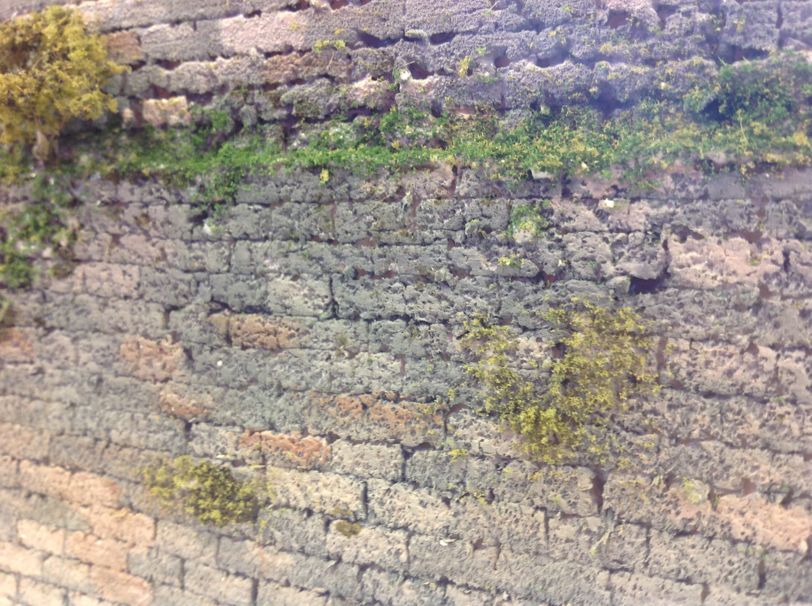 IMG_1083.jpeg