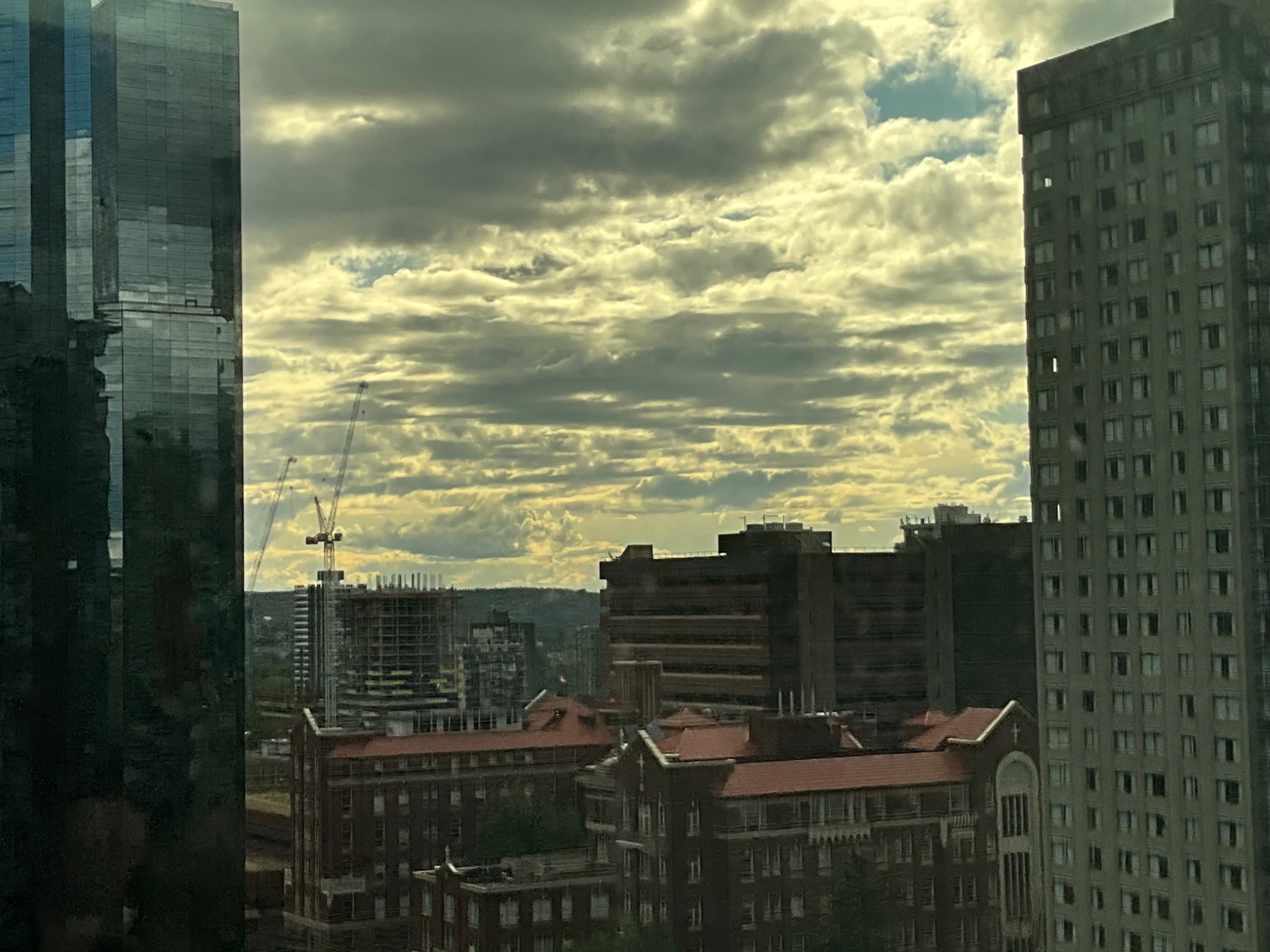 IMG_1387.jpeg
