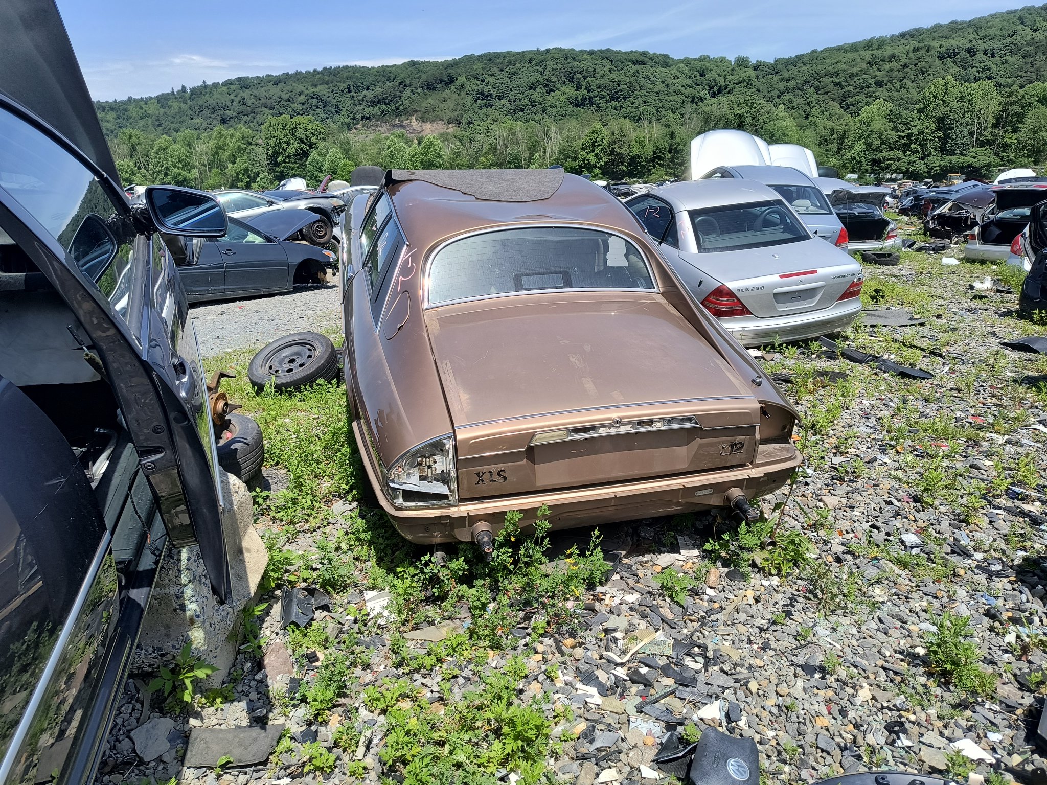 IMG_20240616_113747045_HDR.jpg
