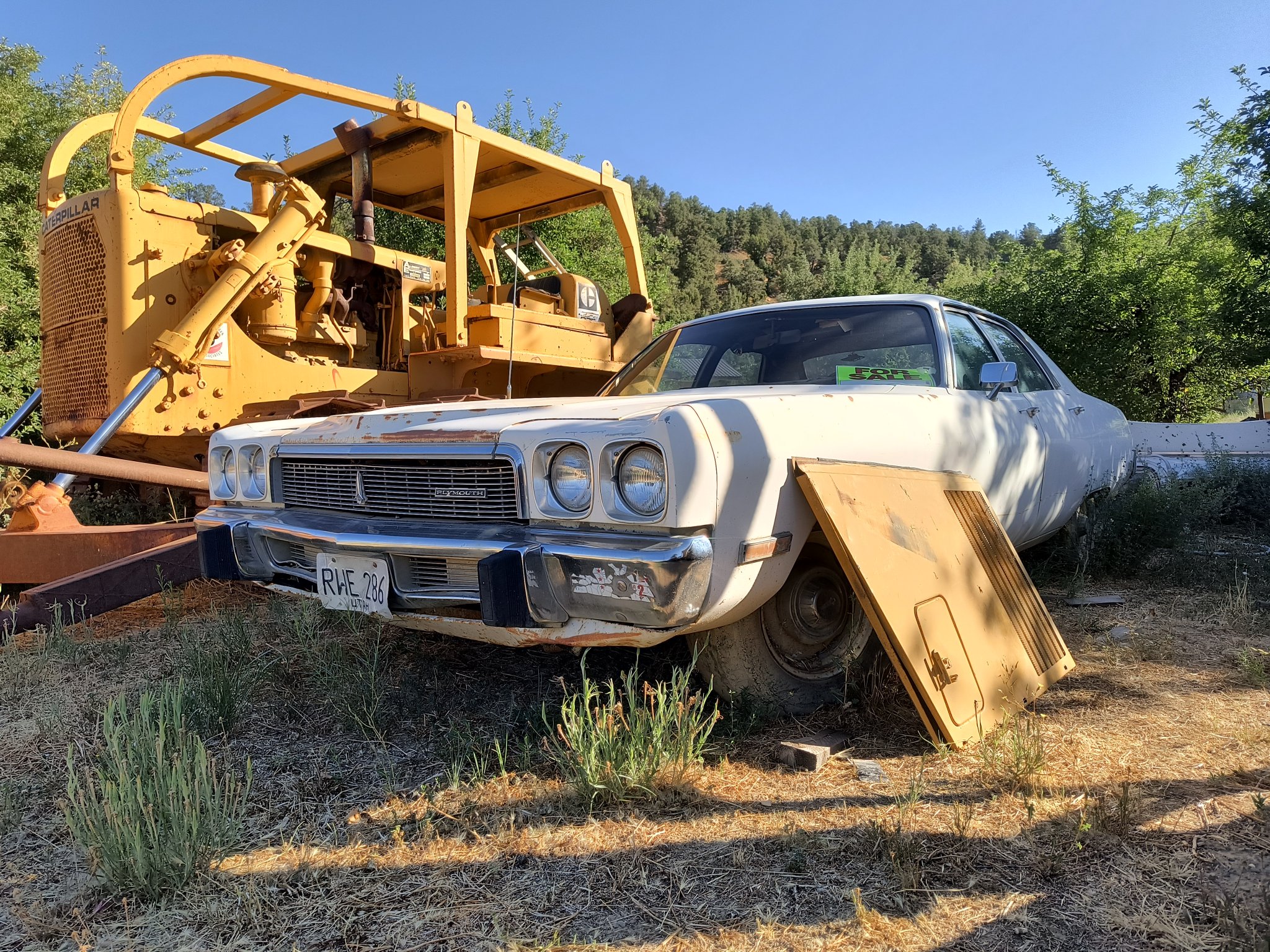 IMG_20240731_090052314_HDR.jpg