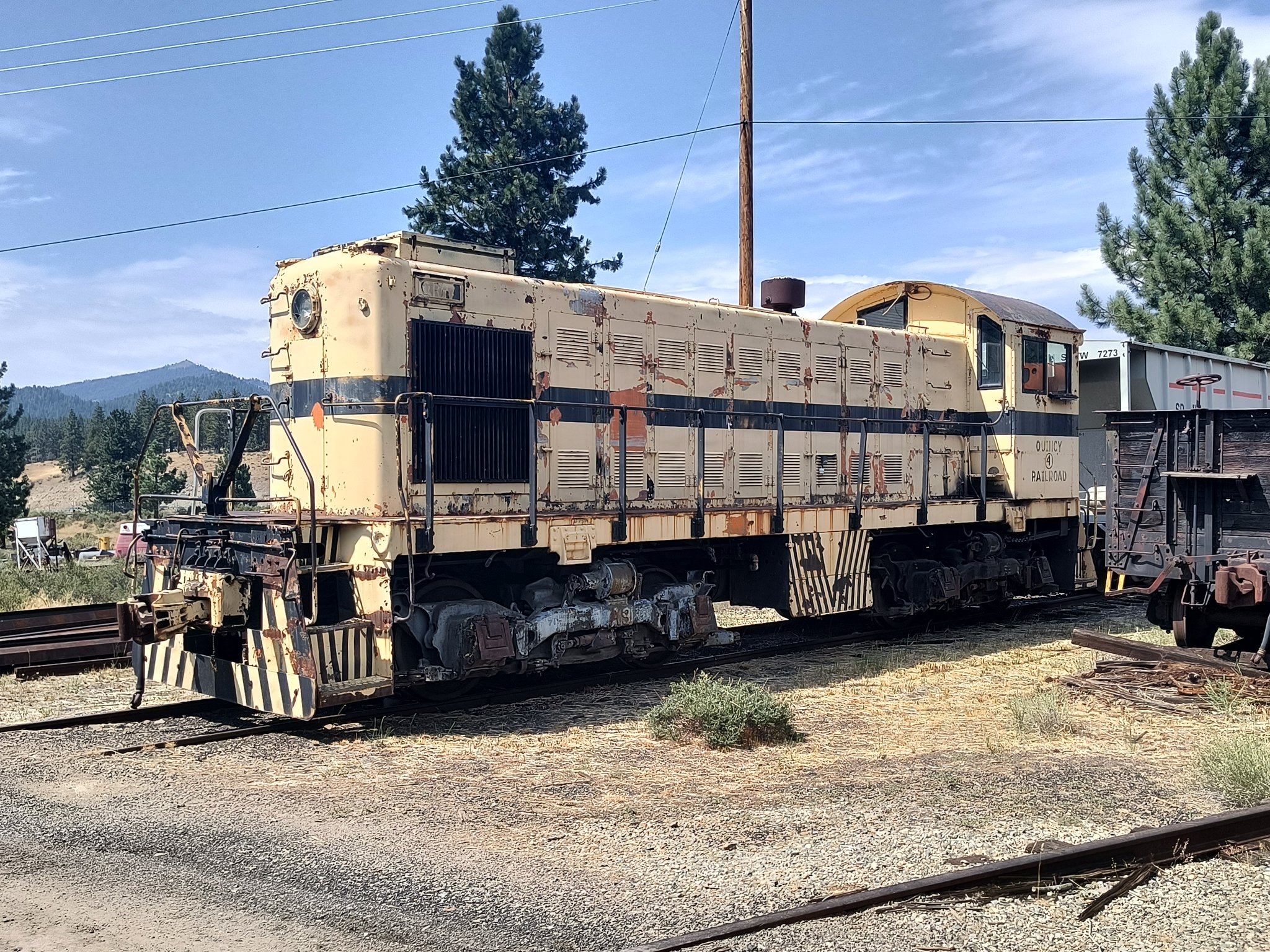 IMG_20240802_150923355_HDR.jpg