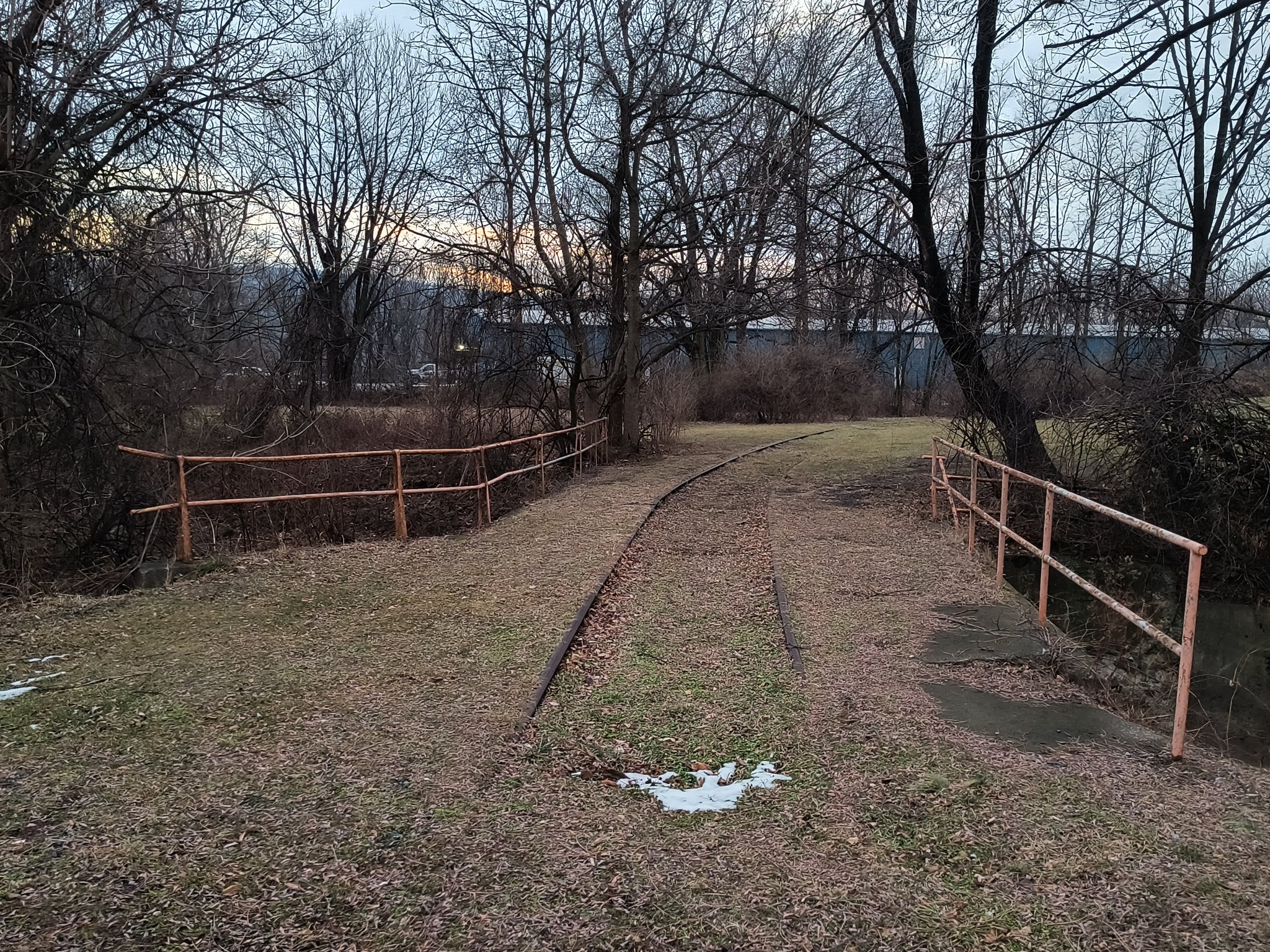 IMG_20250118_172301315_HDR.jpg