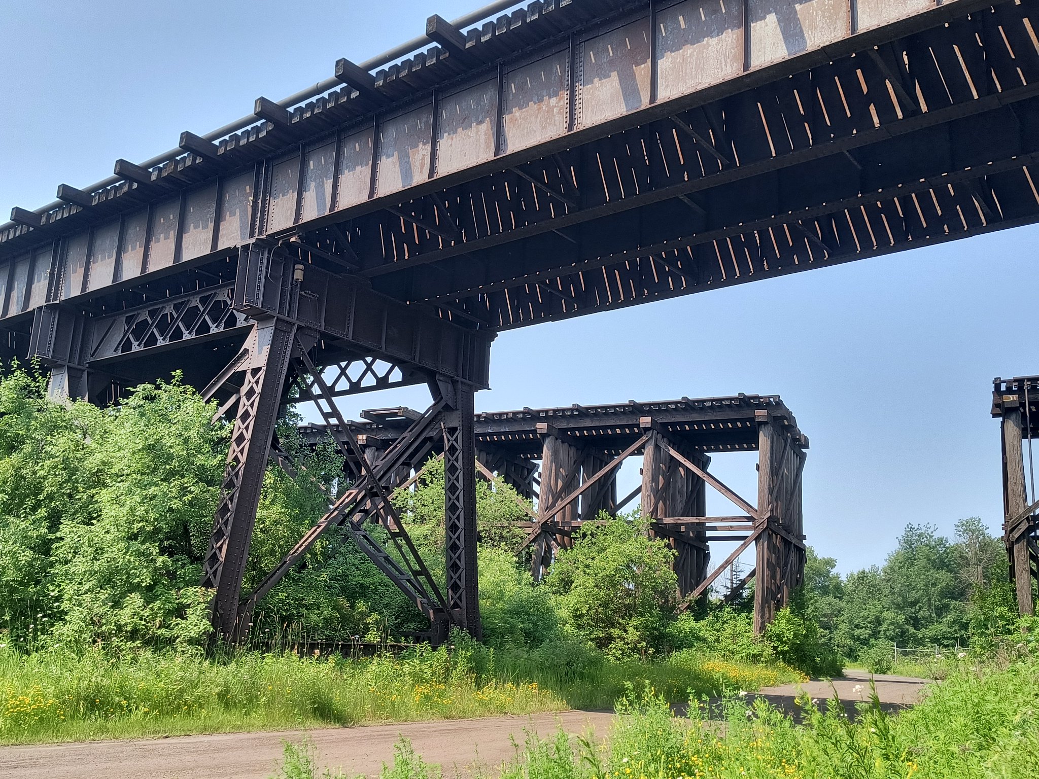 IMG_20250713_104954140_HDR.jpg