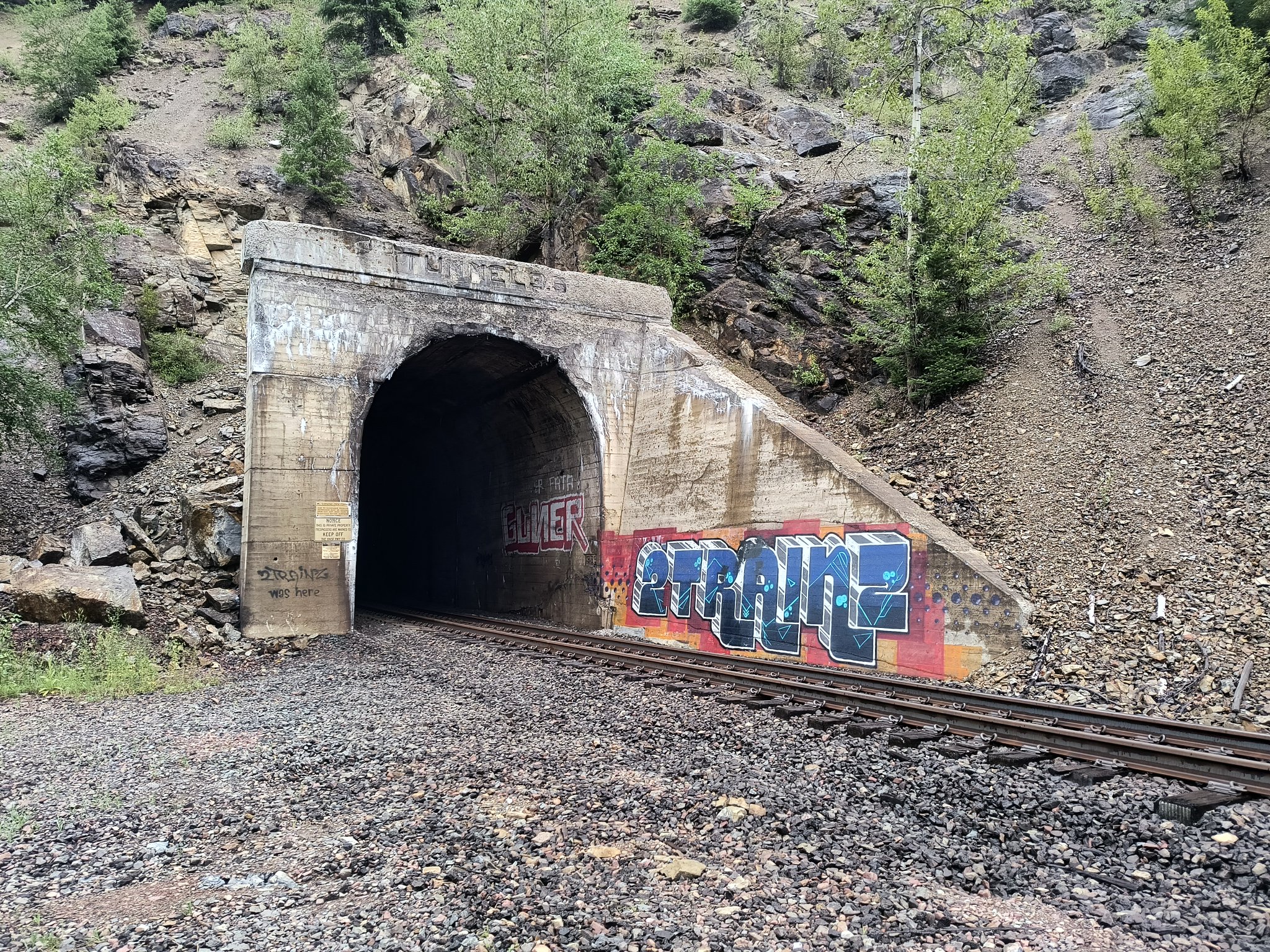 IMG_20250715_115639597_HDR.jpg