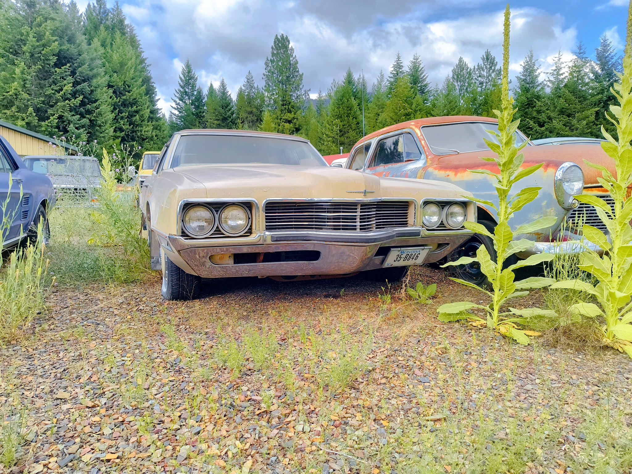 IMG_20250715_182236462_HDR.jpg