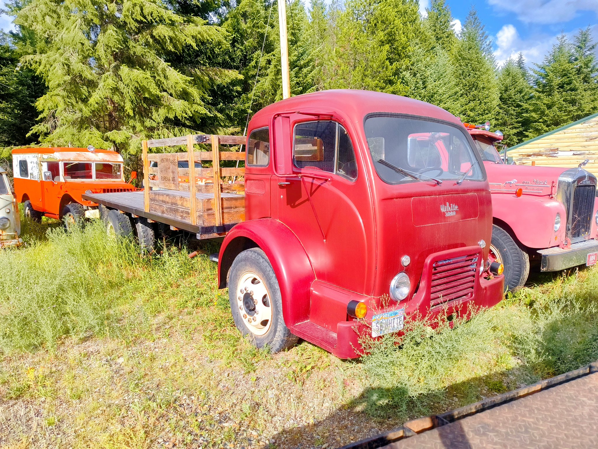 IMG_20250715_182512010_HDR.jpg