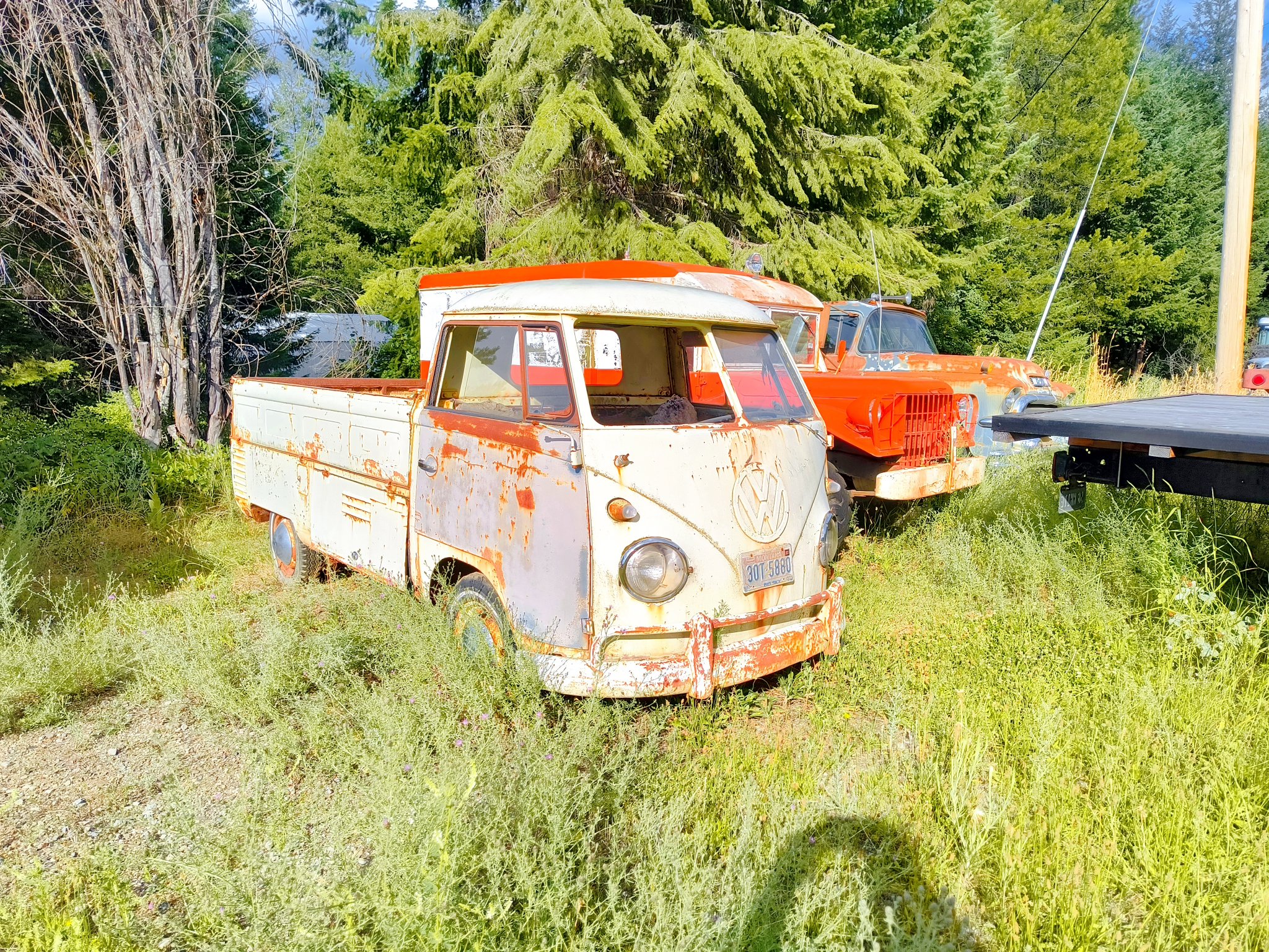 IMG_20250715_182523397_HDR.jpg