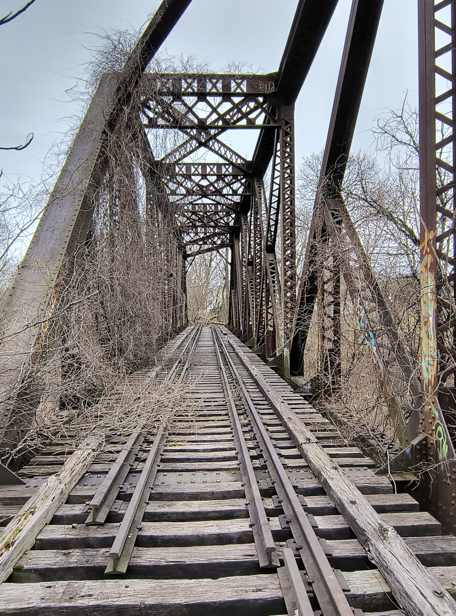 IMG_20260315_141852829_HDR.jpg