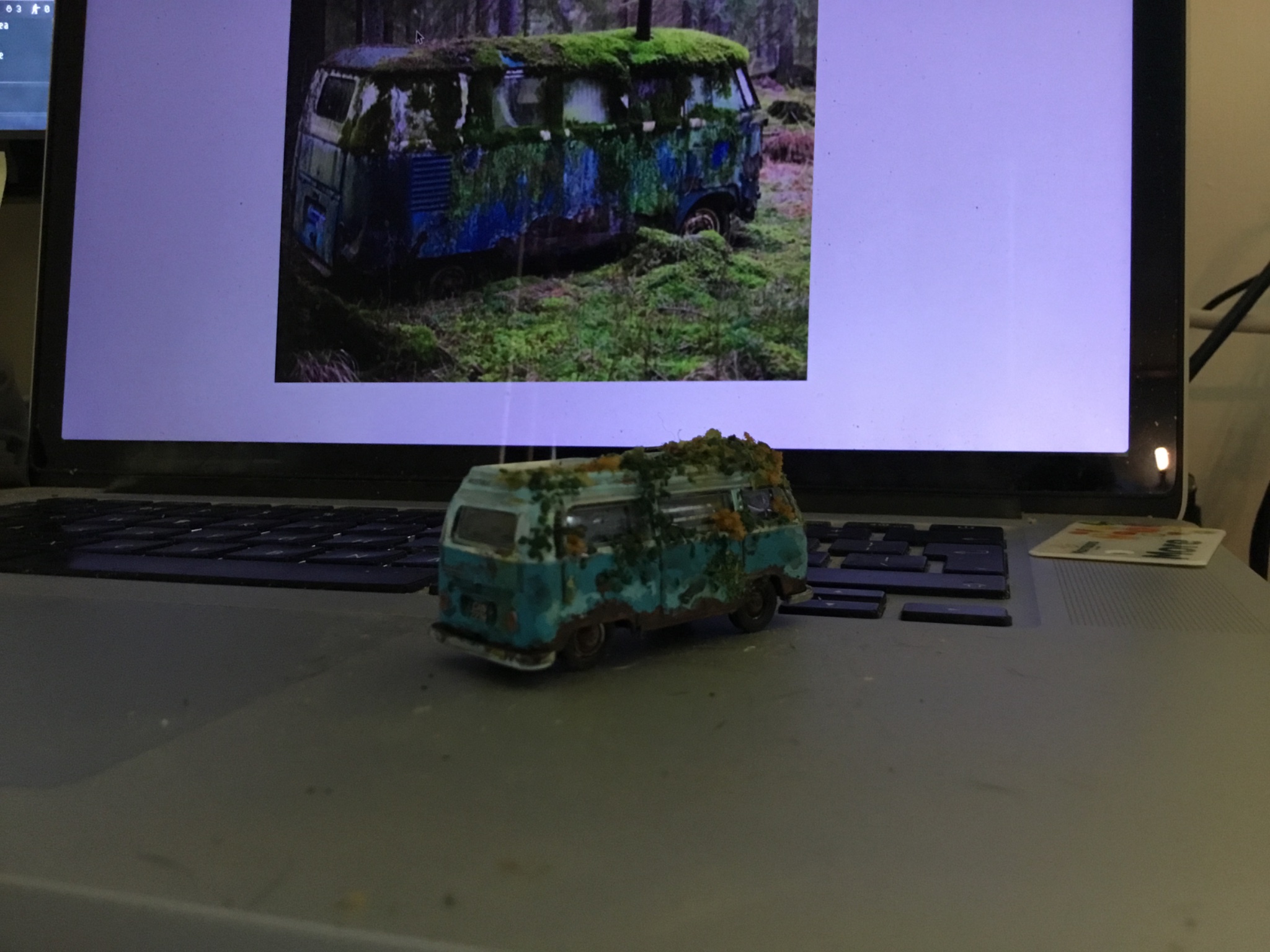 IMG_2213.jpeg