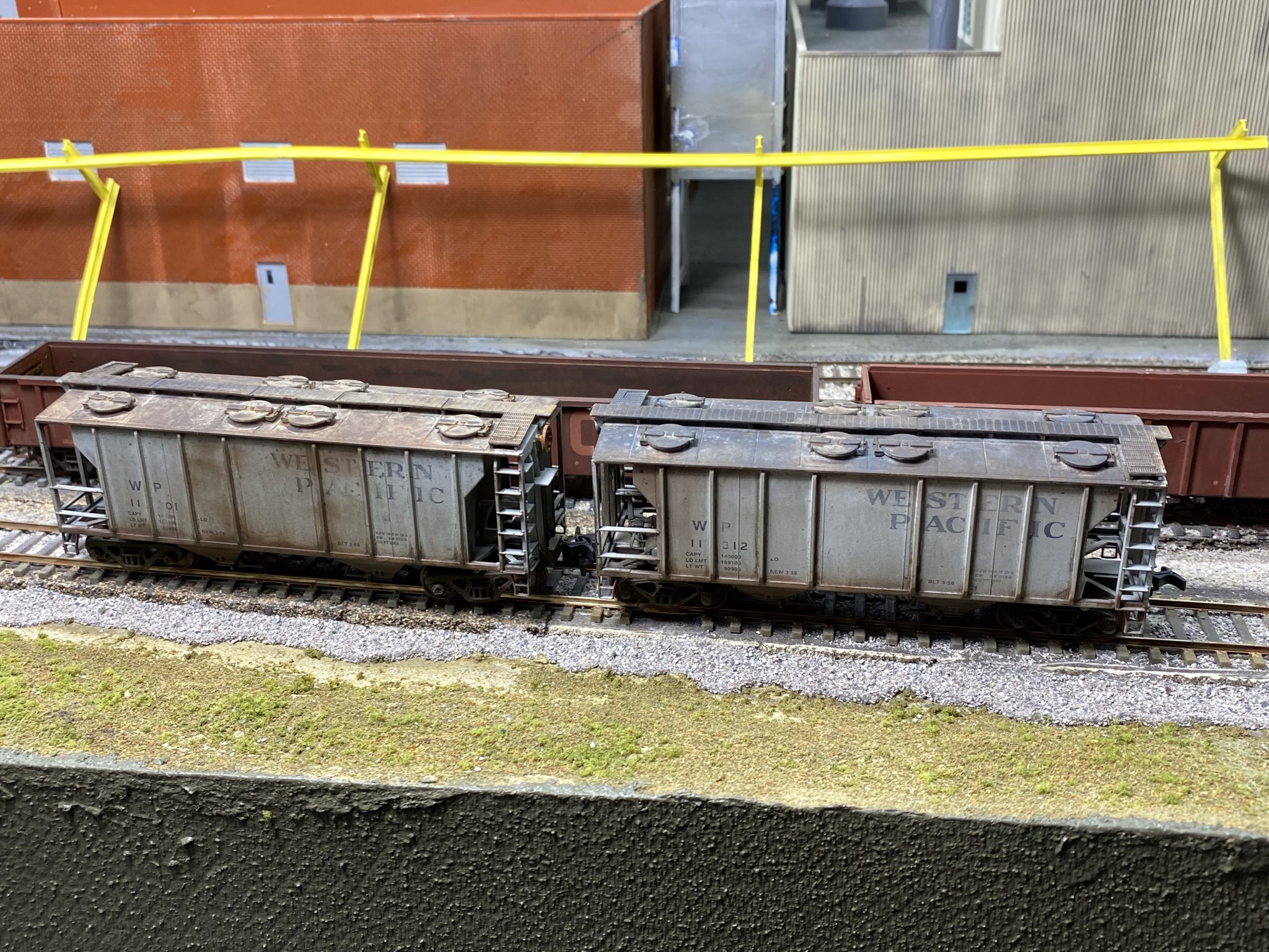 IMG_2267.jpeg