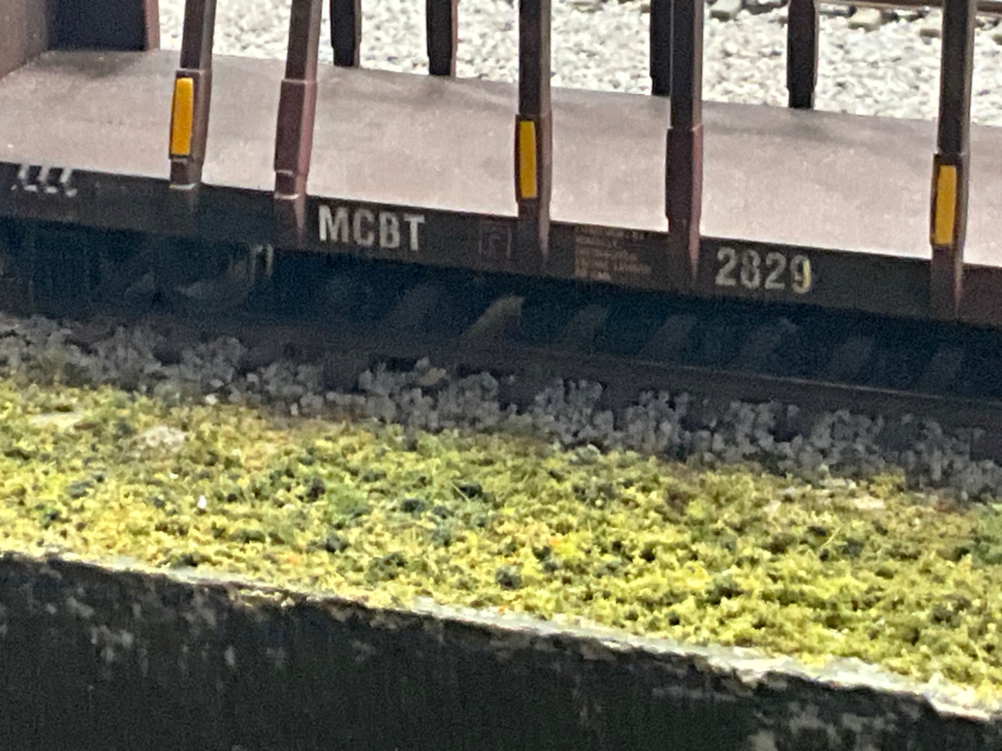 IMG_2292.jpeg